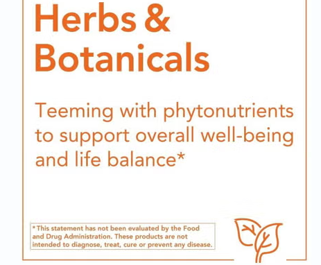 Now Ginkgo Biloba 60mg Vegetarian Capsules For Brain Health, Pack of 60's NOW