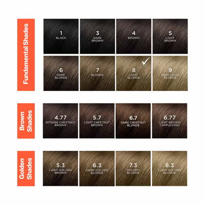 Phyto PhytoColor Permanent Hair Color Cream - 8 Light Blonde Phyto