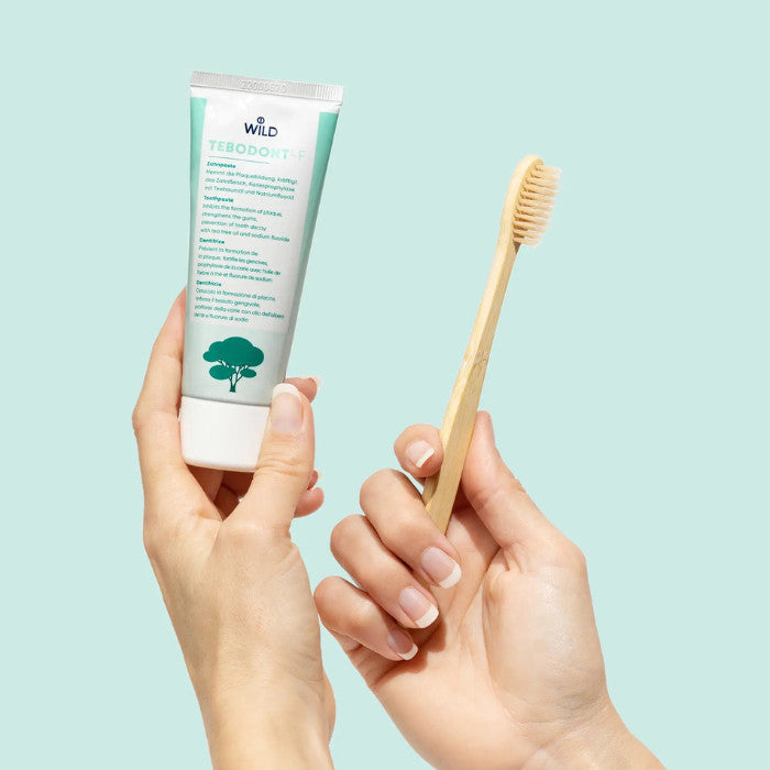 Tebodont F Toothpaste – Herbal Fluoride Toothpaste with Tea Tree Oil for Gum Health & Cavity Protection 75ml Tebodont