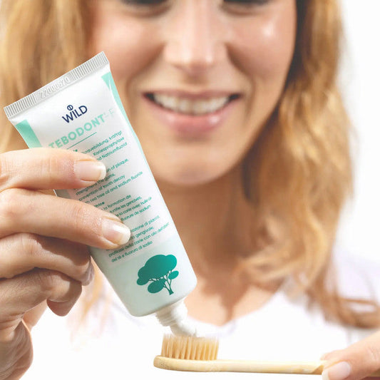 Tebodont F Toothpaste – Herbal Fluoride Toothpaste with Tea Tree Oil for Gum Health & Cavity Protection 75ml Tebodont