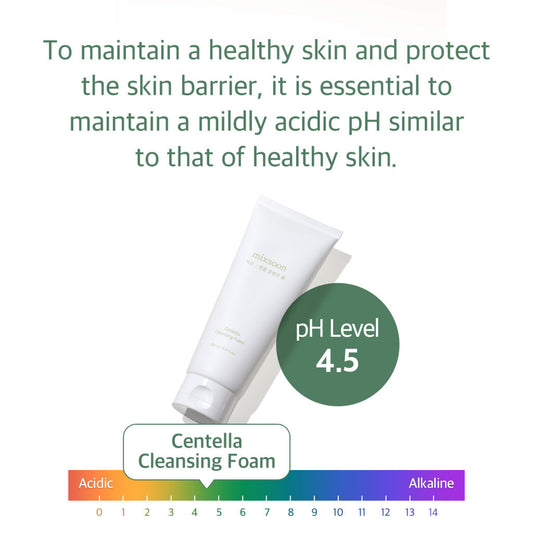 Mixsoon Centella Cleansing Foam, Low pH Gentle Cleanser with Salicylic Acid - 150ml Mixsoon