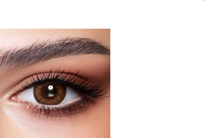 Bella Contact Lenses One Day Almond Brown 10's