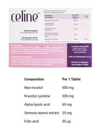 Celine Tablets 60's celine